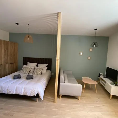 Appartement Vina Rhona Condrieu